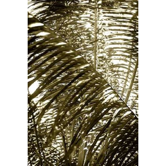 Dancing Light I Poster Print by Alan Hausenflock