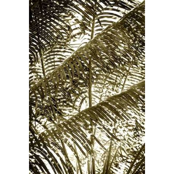 Dancing Light II Poster Print by Alan Hausenflock
