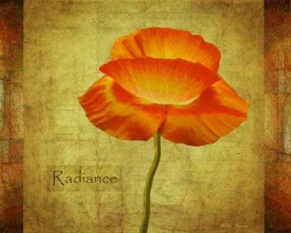 Dancing Poppy Radiance Canvas Art - Vitaly Geyman (24 x 30)