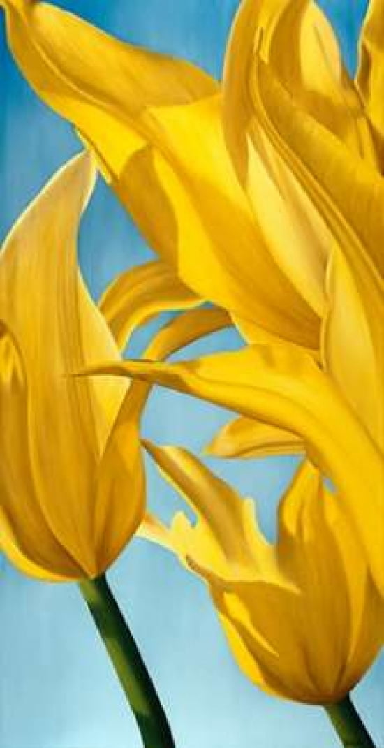 Dancing Yellow Canvas Art - Yvonne Poelstra-Holzhaus (24 x 36)