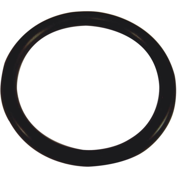 Danco O-Ring