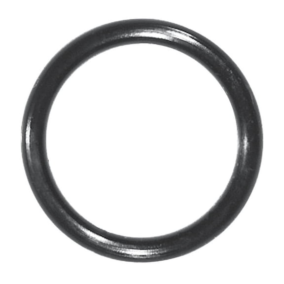 Danco O-Ring 15/16 " Od. X 3/4 " Id. X 3/32 " Nitrile Butadiene Rubber Youngstown Polybag Pack of 5