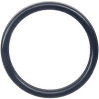 Danco Perfect Match Danco O-Ring