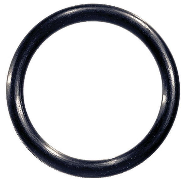 Danco O-Ring