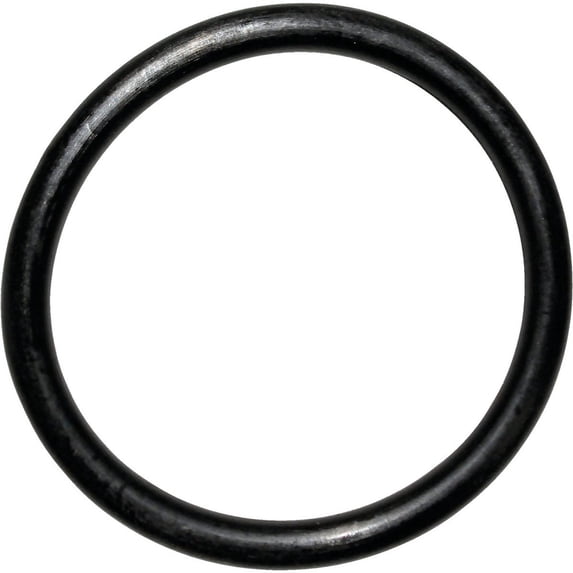 Danco #44 1-5-16 In. x 1-9-16 In. Buna-N O-Ring 35758B Pack of 5 35758B 494011