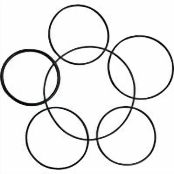 Danco 10714 0-Ring Assortment, Large