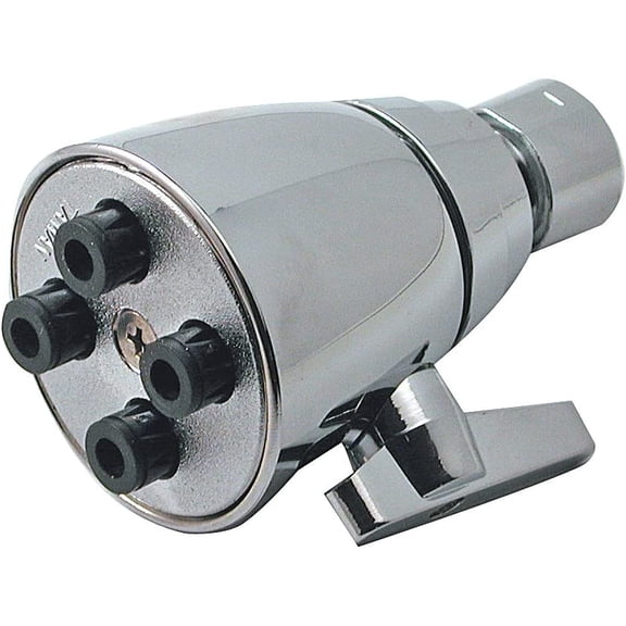 Danco 89202 Shower Head, 1/2 in IPS, Brass, Chrome