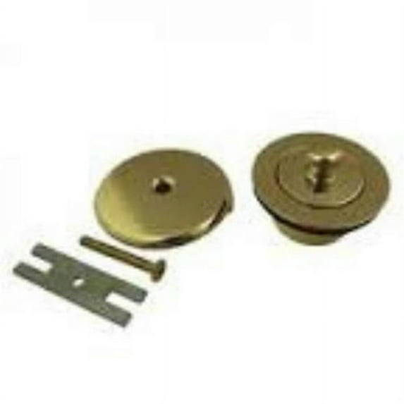 Danco 70-89238 Shower Overflow Plate & Lift & Turn Stopper Kit, Polished Brass