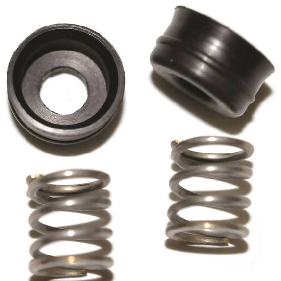 Danco 80704 Delex Peerless Faucet Seats and Springs Repair Kit