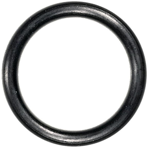 Danco 7/8 in. OD x 11/16 in. ID, Rubber, #13 O-Ring, 10 per Card, 96730