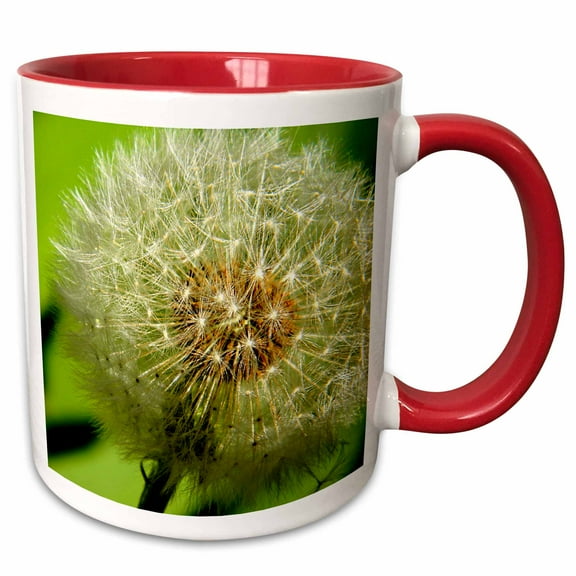 3drose, Dandelion, 11oz Two-tone Red Mug