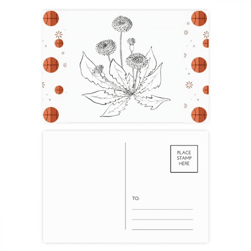Dandelion Blossong Black White Flowers Basketball Postcard Set Thanks Card Mailing Side 20pcs