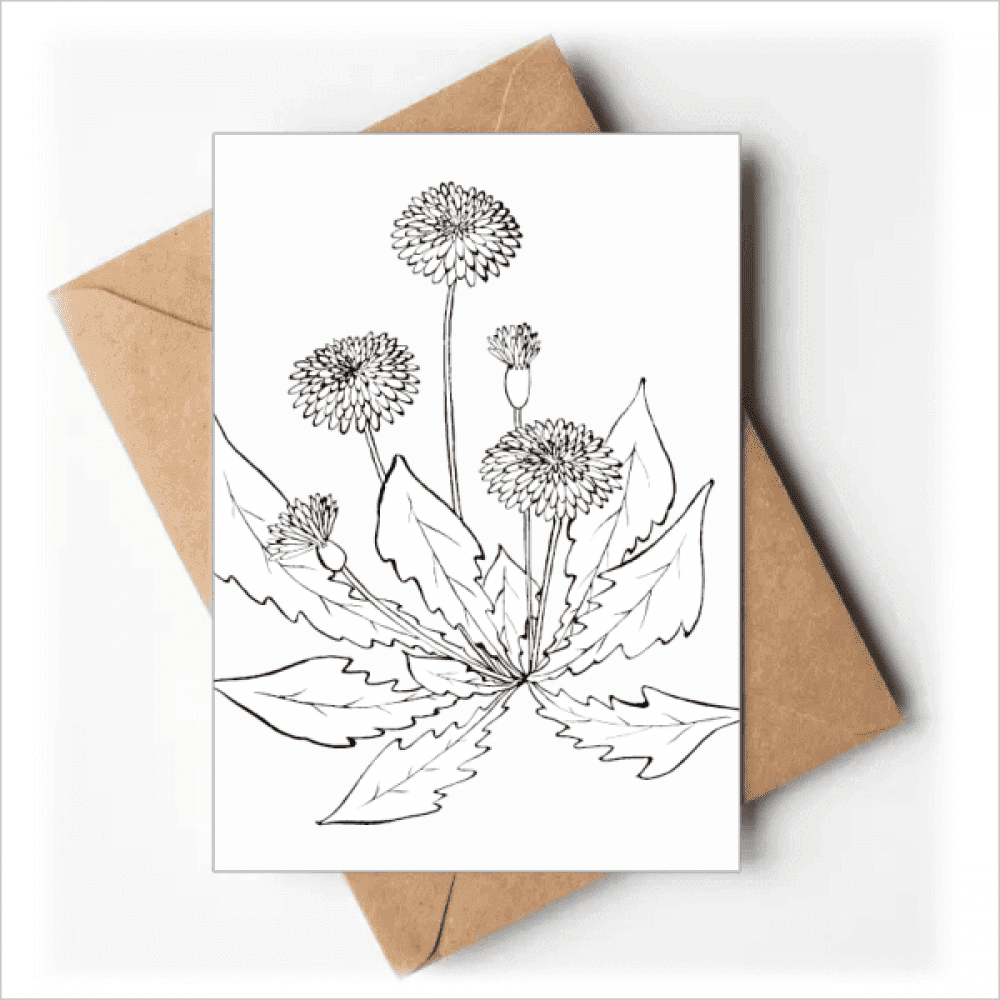 Dandelion Blossong Black White Flowers Greeting Cards You are Invited Invitations