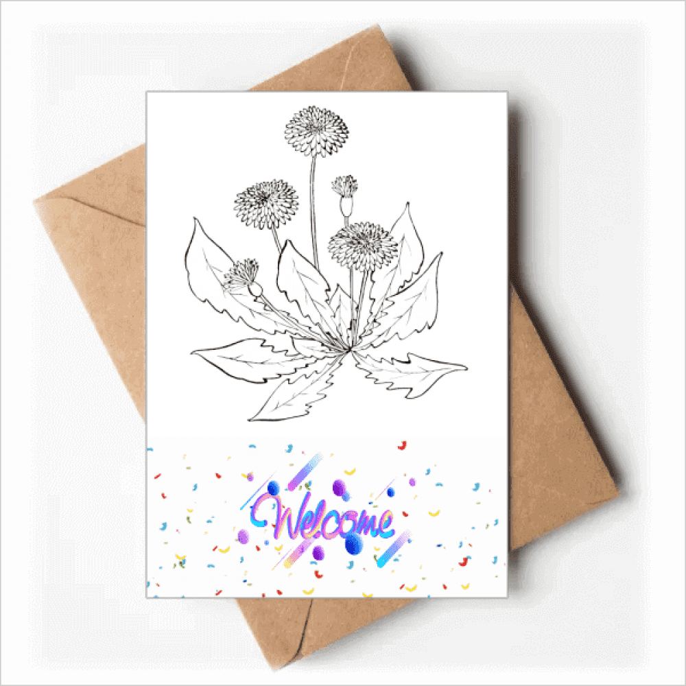 Dandelion Blossong Black White Flowers Welcome Back Greeting Cards Envelopes Blank