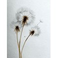 thumbnail image 1 of Dandelion Canvas Print, Wall Decor for Living Room Bedroom Dining Room Office Entryway Hotel Study, 1 of 8