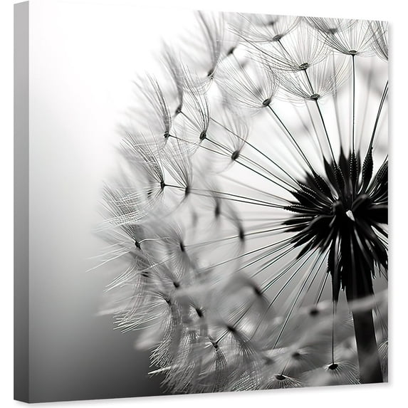 Dandelion Canvas Wall Art Black White Flower Painting Floral Closeup Picture Print for Living Room Decor Frame(Dandelion - C,12.00" x 12.00")
