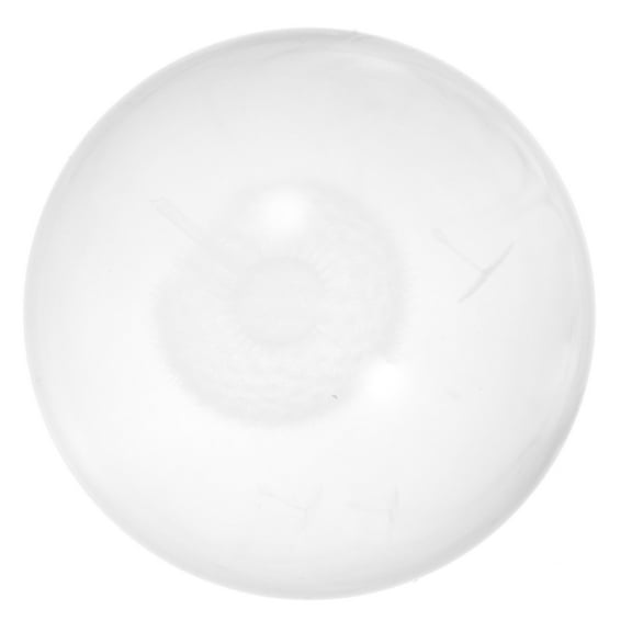 Dandelion Crystal Ball Mini Balls Home Decoration Tablescape Holiday Snow Globe Office