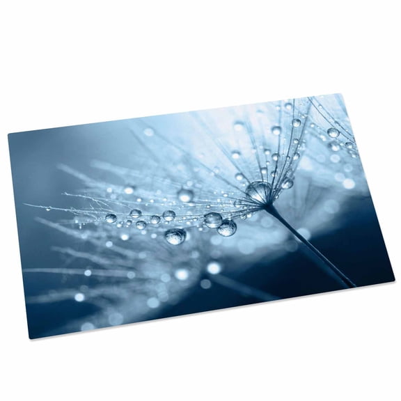 Dandelion Droplets Door Mat 16x24 Inch Minimalist Sky Blue Dandelion Entryway Rug with Non-Slip Rubber, Front Door Mat Indoor Floor Mats for Living Room Bathroom Bedroom Home Office
