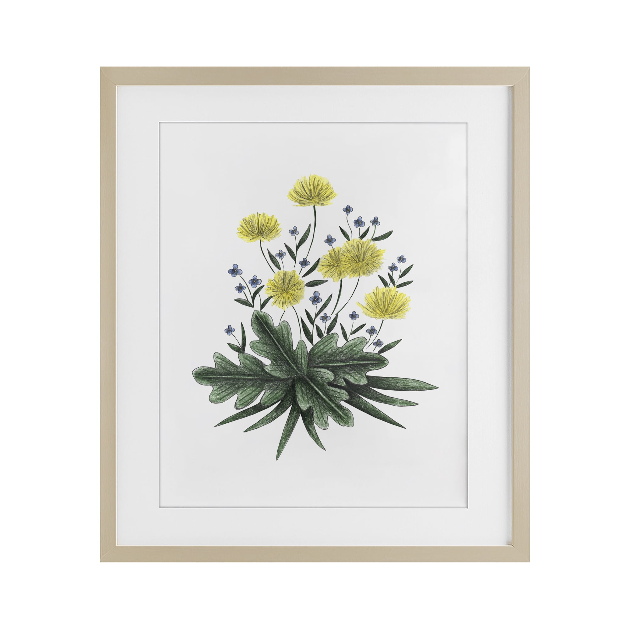 Dandelion Flower Illustration Birch Framed Print Under Glass, design by Cecilia Battaini