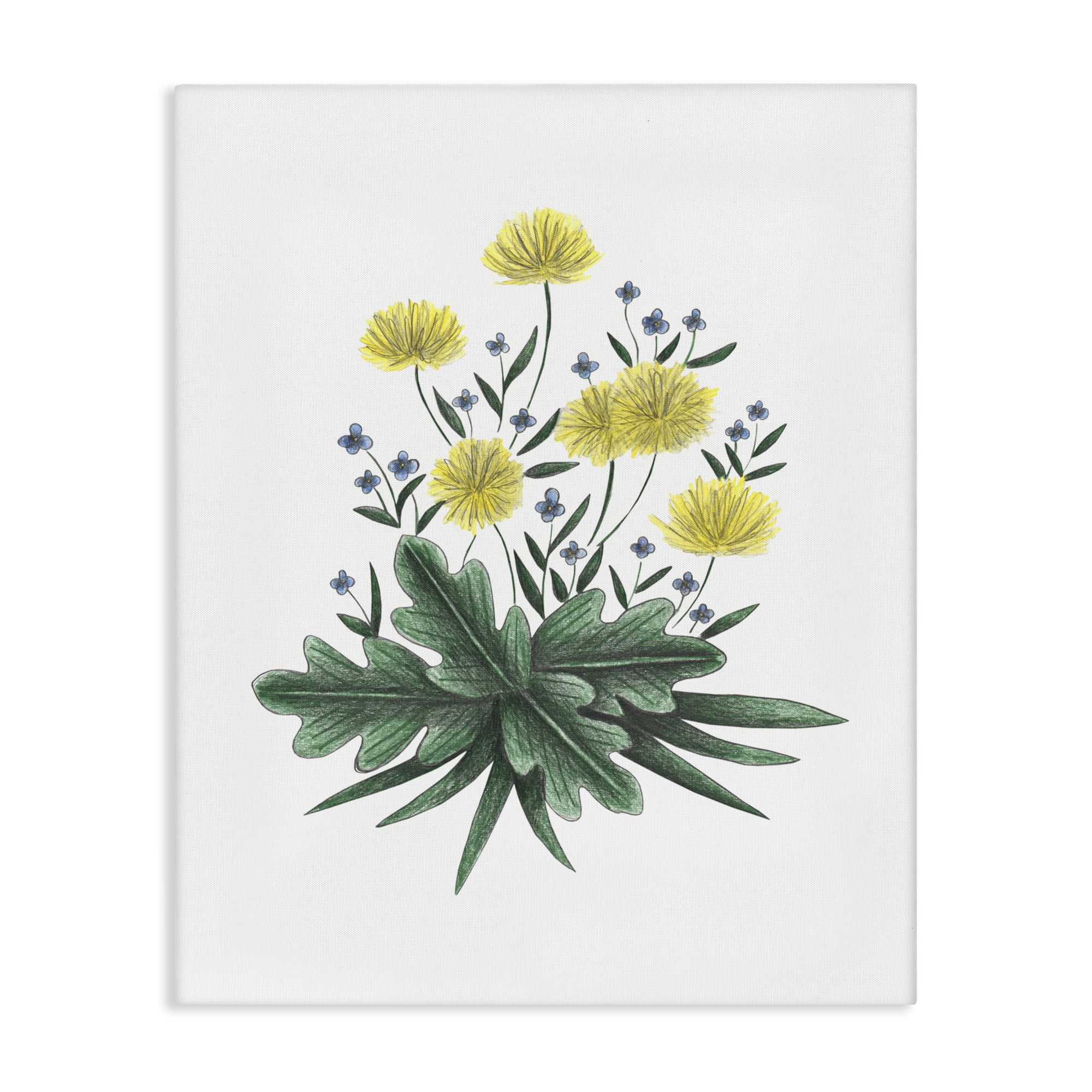 Dandelion Flower Illustration Canvas Wall Art, design by Cecilia Battaini