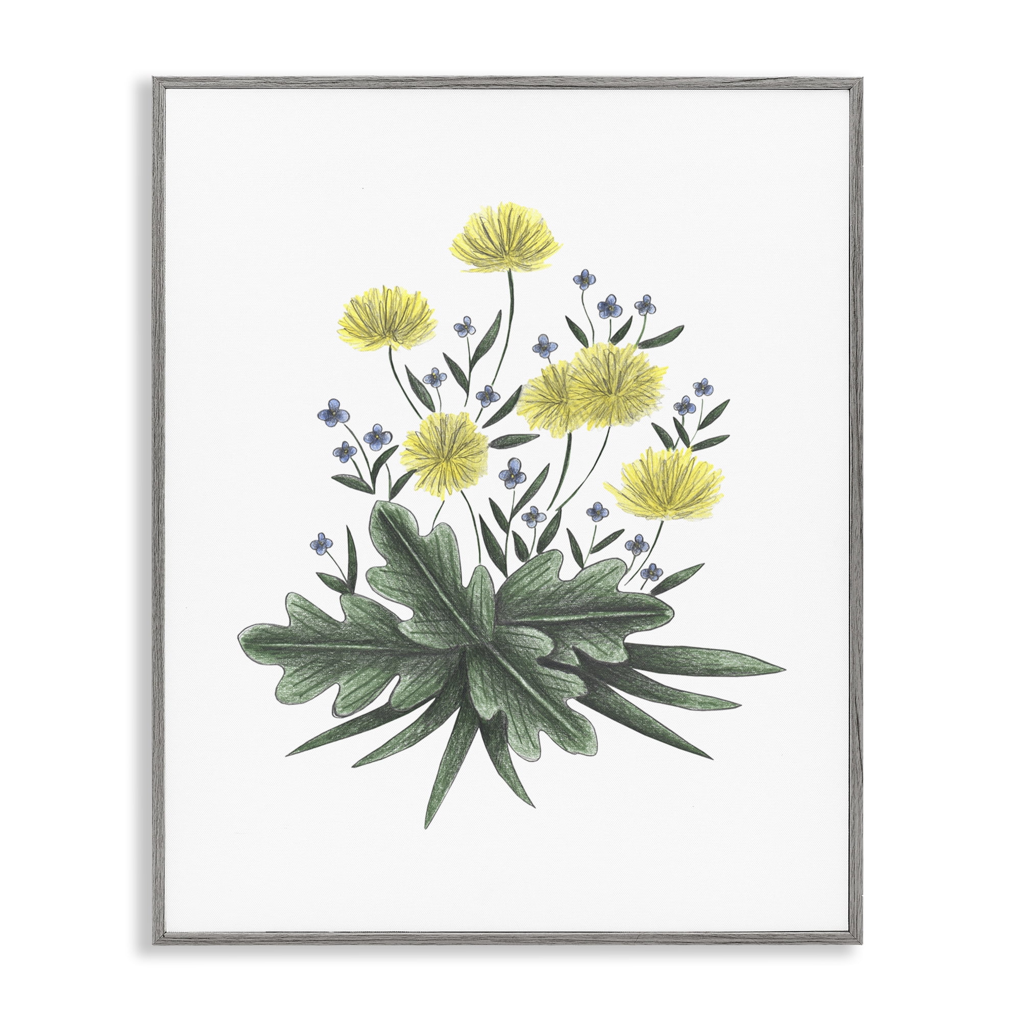 Dandelion Flower Illustration Gray Framed Giclee Art, design by Cecilia Battaini