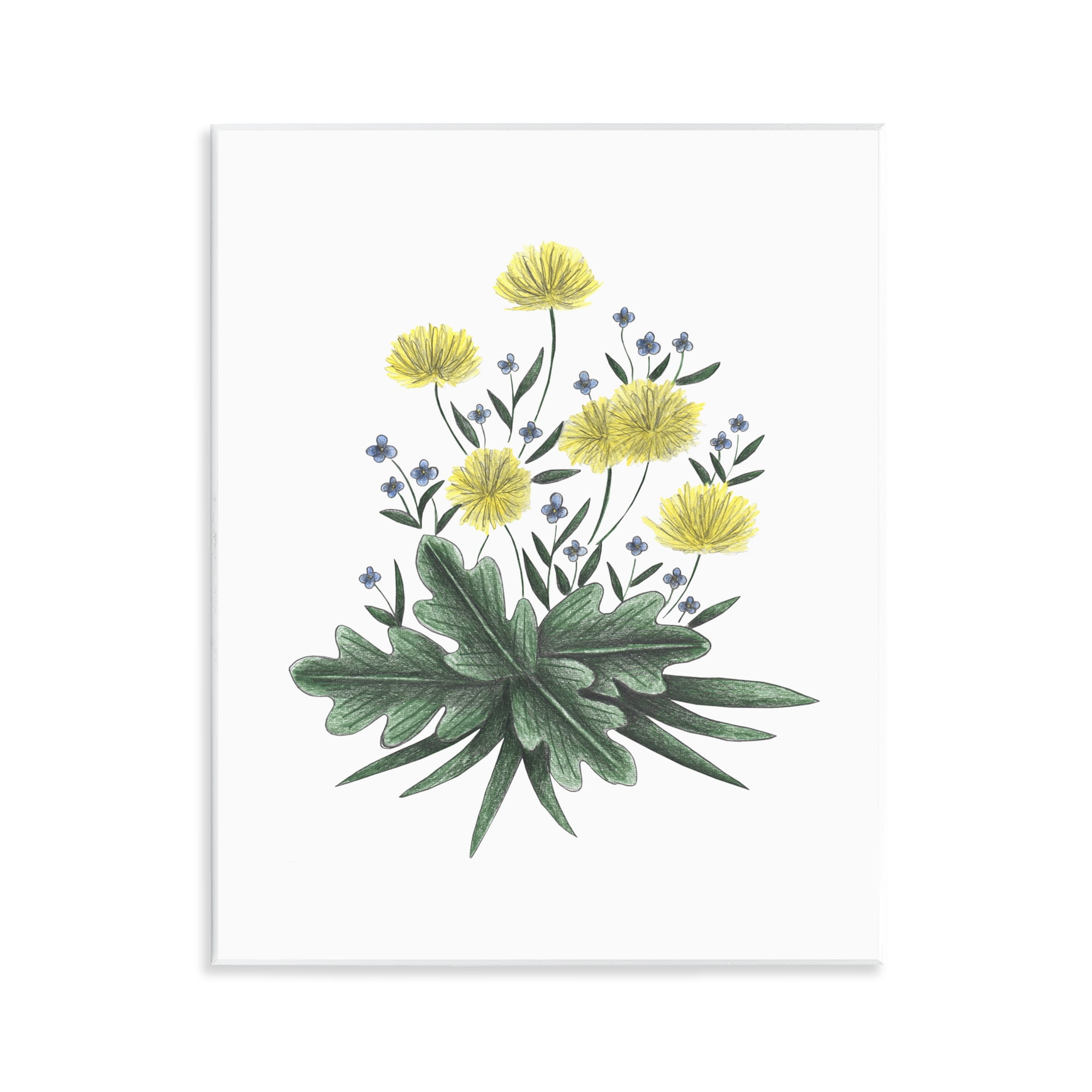 Dandelion Flower Illustration Wall Plaque Art, design by Cecilia Battaini