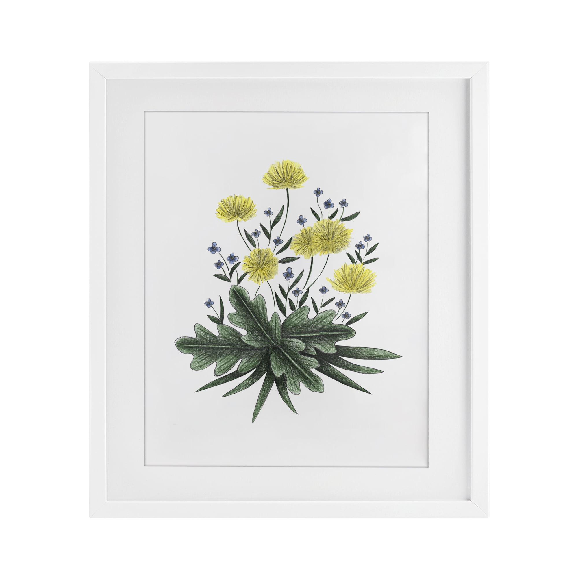 Dandelion Flower Illustration White Framed Print Under Glass, design by Cecilia Battaini