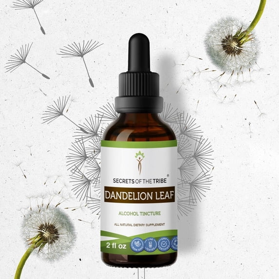 Secrets Of The Tribe Dandelion Leaf Tincture Dietary Supplement, Natural Herbal Extract for Liver Support, Dandelion (Taraxacum officinale) Dried Leaf, Alcohol Extract, Drops 2 oz