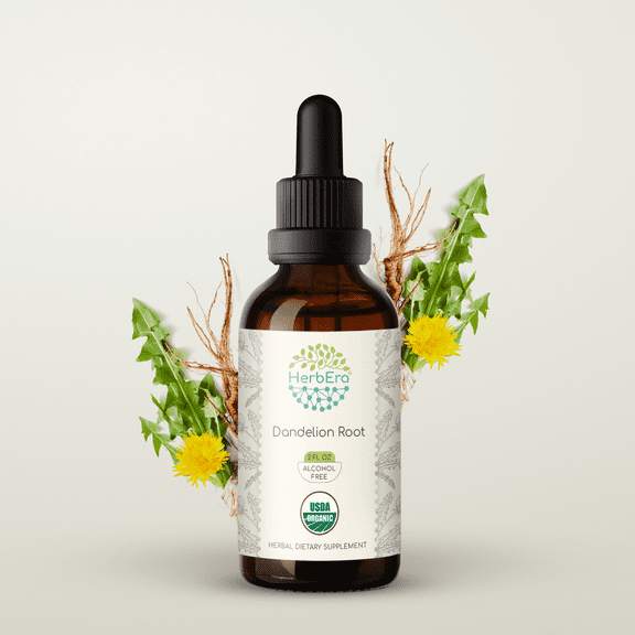 HerbEra Dandelion Root Tincture, Organic Herbal Dietary Supplement for Liver Health Support, Certified Organic Dandelion (Taraxacum officinale) Dried Root Extract, Natural, Alcohol-Free, Drops 2 oz