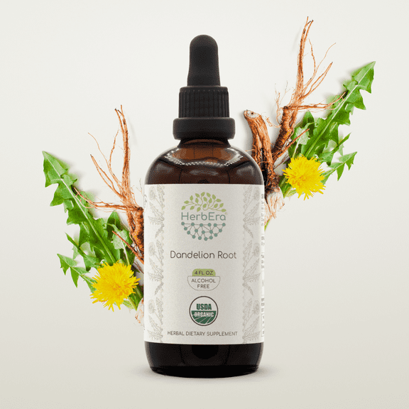 HerbEra Dandelion Root Tincture, Organic Herbal Dietary Supplement for Liver Health Support, Certified Organic Dandelion (Taraxacum officinale) Dried Root Extract, Natural, Alcohol-Free, Drops 4 oz
