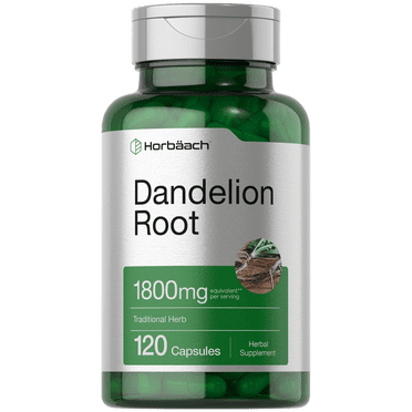 Maple Lifesciences Dandelion Root 10:1 Extract Capsules – Pure & High Quality Dietary Supplement – Made In India