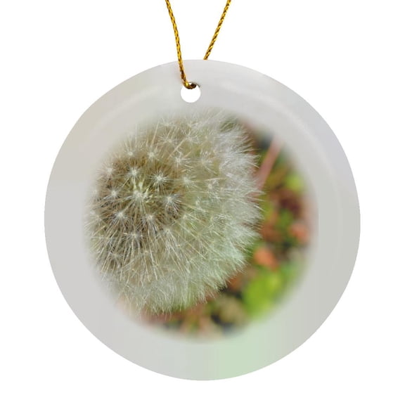 3drose, Dandelion Wish Flower Macro Flower Photography, Circle Porcelain Ornament