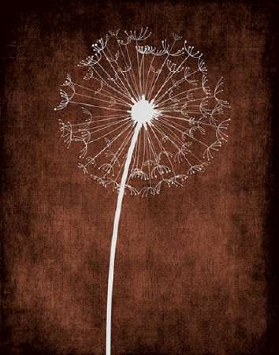 Dandelion on Brown III Canvas Art - Tamara Robinson (22 x 28)