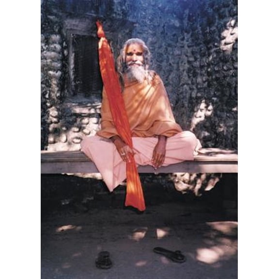 Pre-Owned Dandi Swami: The Story of the Guru's Will, Maharishi Mahesh Yogi, the Shankaracharyas of Jyotir Math, & Meetings with Da, (Paperback)
