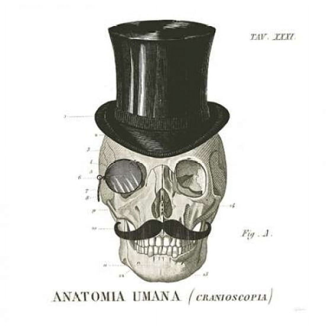 Dandy Bones I Canvas Art - Sue Schlabach (24 x 24)