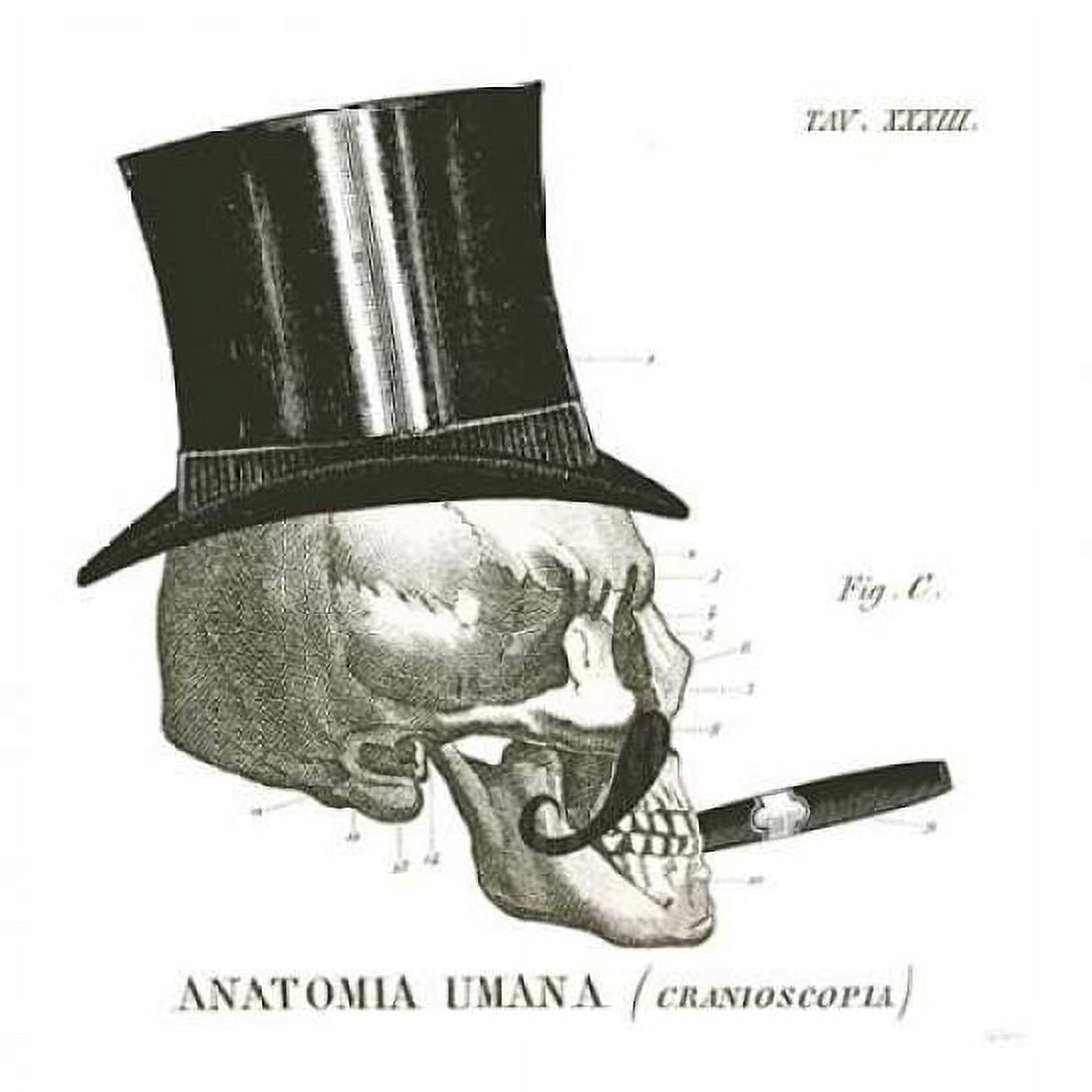 Dandy Bones III Canvas Art - Sue Schlabach (24 x 24)