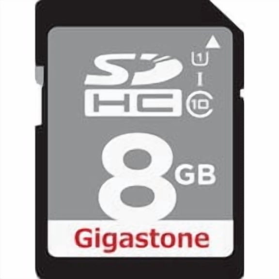Dane-Elec Gigastone Prime Series SDHC Card - Pack of 10