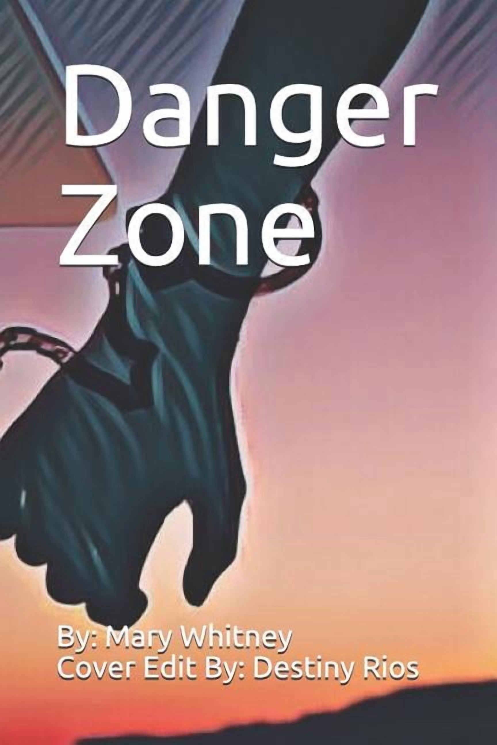 Danger Zone  Paperback  Mary Whitney