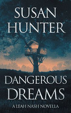 Dangerous Dreams : A Leah Nash Prequel Novella (Paperback) - image 1 of 1