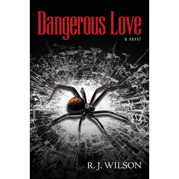 Dangerous Love: a novel