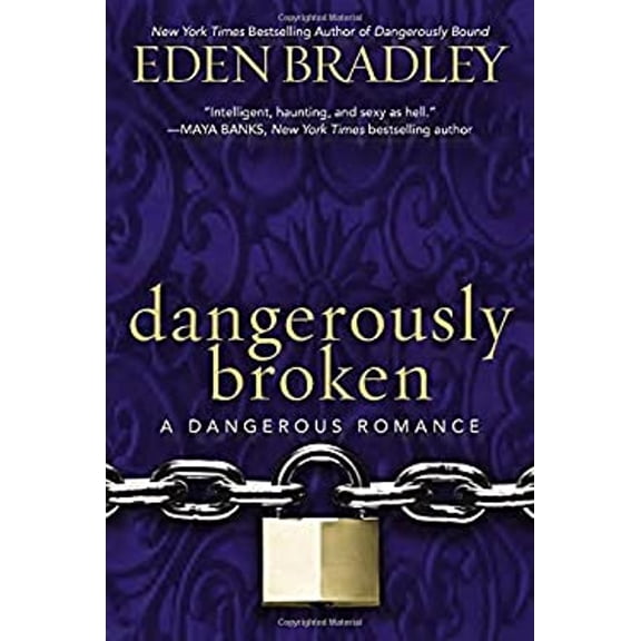 Pre-Owned Dangerously Broken (Paperback) 042526999X 9780425269992