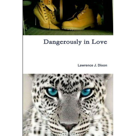 Dangerously in Love, (Paperback)