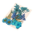 thumbnail image 1 of Danhjin Dried Flowers for Crafts, Natural Press Flowers and Botanical Kit for Scrapbooking, Journaling, Card Making, Home Decor, Wedding Gift Embellishments, 1 of 1