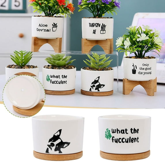 Danhjin Flower Pot Pots, Funny Unique Ceramic Planter with Tray for Fleshy Plants, Indoor Desktop Bonsai Decoration Flower Pot for Home Office Decor