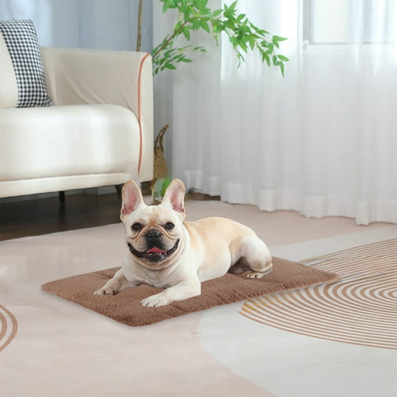 Danhjin Heated Pet Bed, Self Warming Thermal Pad for Indoor and Feral Cats and Dogs Providing Warm Comfort, 19.69x14.17x1.77in