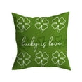 thumbnail image 1 of Danhjin St Patricks Day Pillow Covers Velvet, Green Trefoil Print for Sofa Cushion, 1 of 5