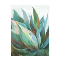 Danhui Nai 'Agave Crop' Canvas Art