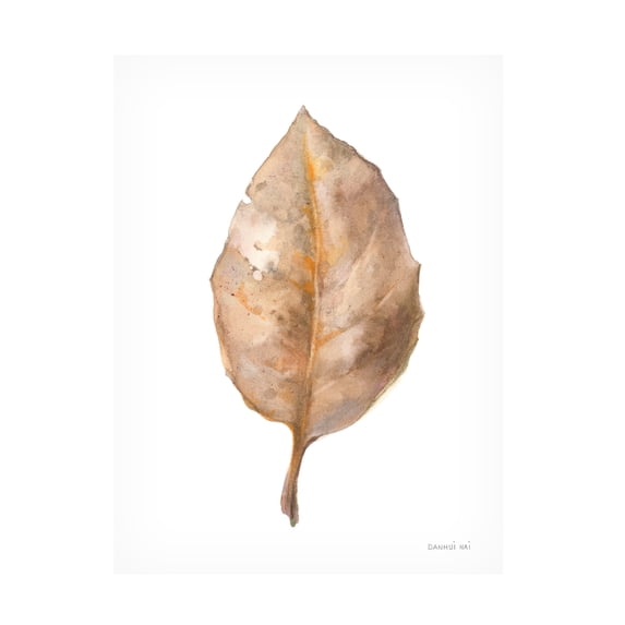 Danhui Nai 'Fallen Leaf II' Canvas Art