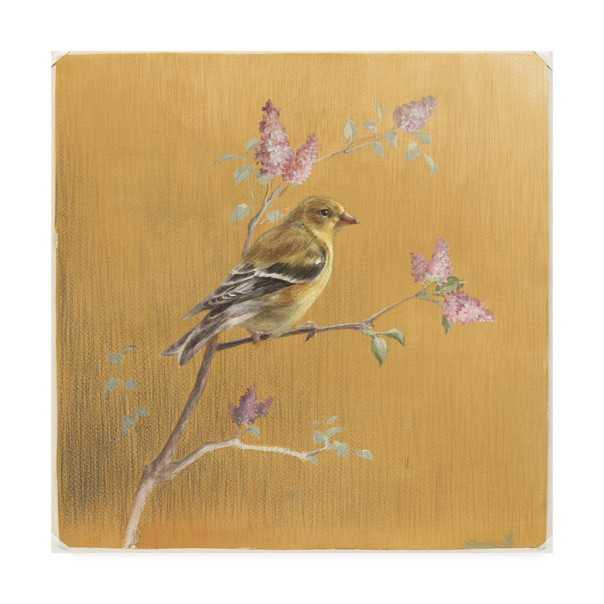14" x 14" Gold Canvas Art with Female Goldfinch