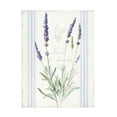 thumbnail image 1 of Danhui Nai 'Floursack Lavender I' Canvas Art, 1 of 4